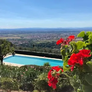 Cima Serra , Buti Italia